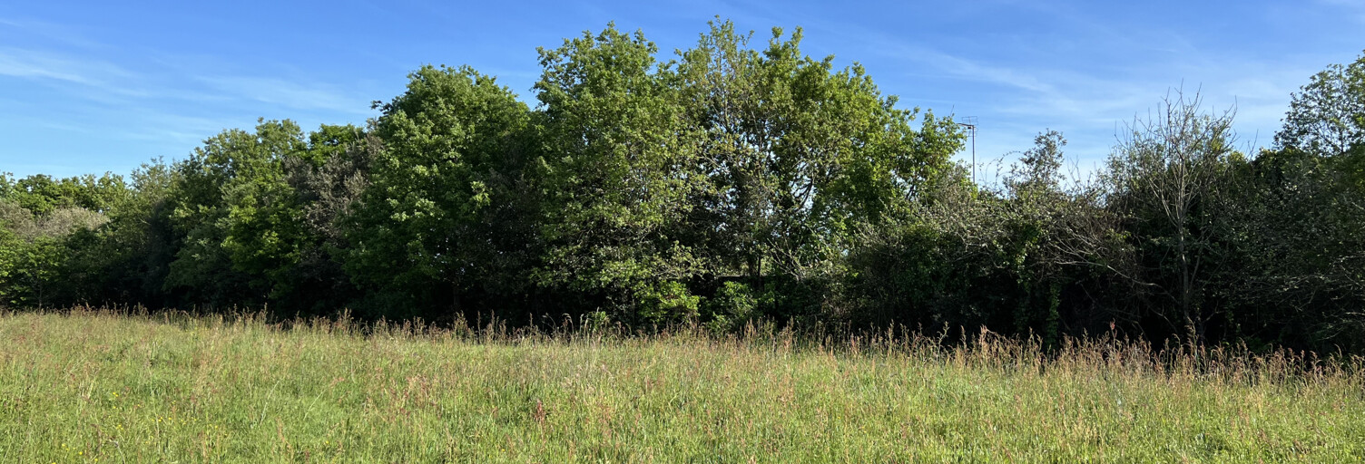 Terrain  1784 m² à vendre à Les Sables-d'Olonne (85180)