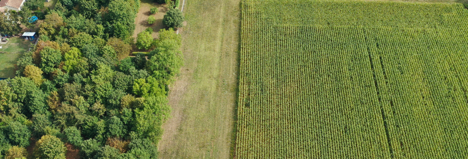 Terrain  300 m² à vendre à Puyravault (17700)