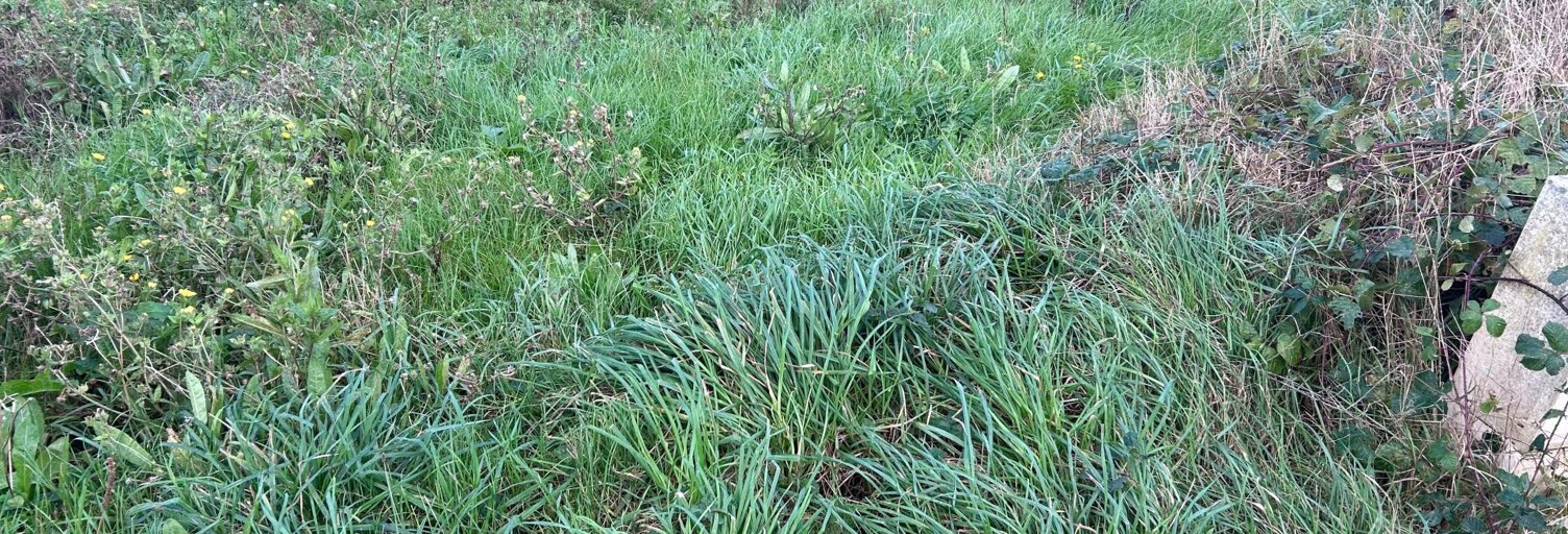 Terrain  641 m² à vendre à Roscoff (29680)