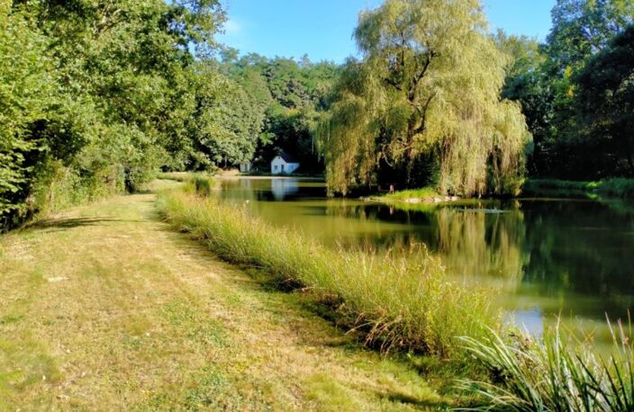 Proche MAYENNE, plan d'eau poissonneux — photo 2