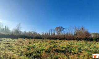 Terrain  2450 m² à vendre à Louchats (33125)