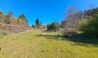 Terrain  2900 m² à vendre à Les Forges (88390)