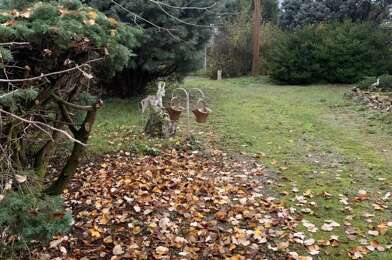 Terrain  42000 €