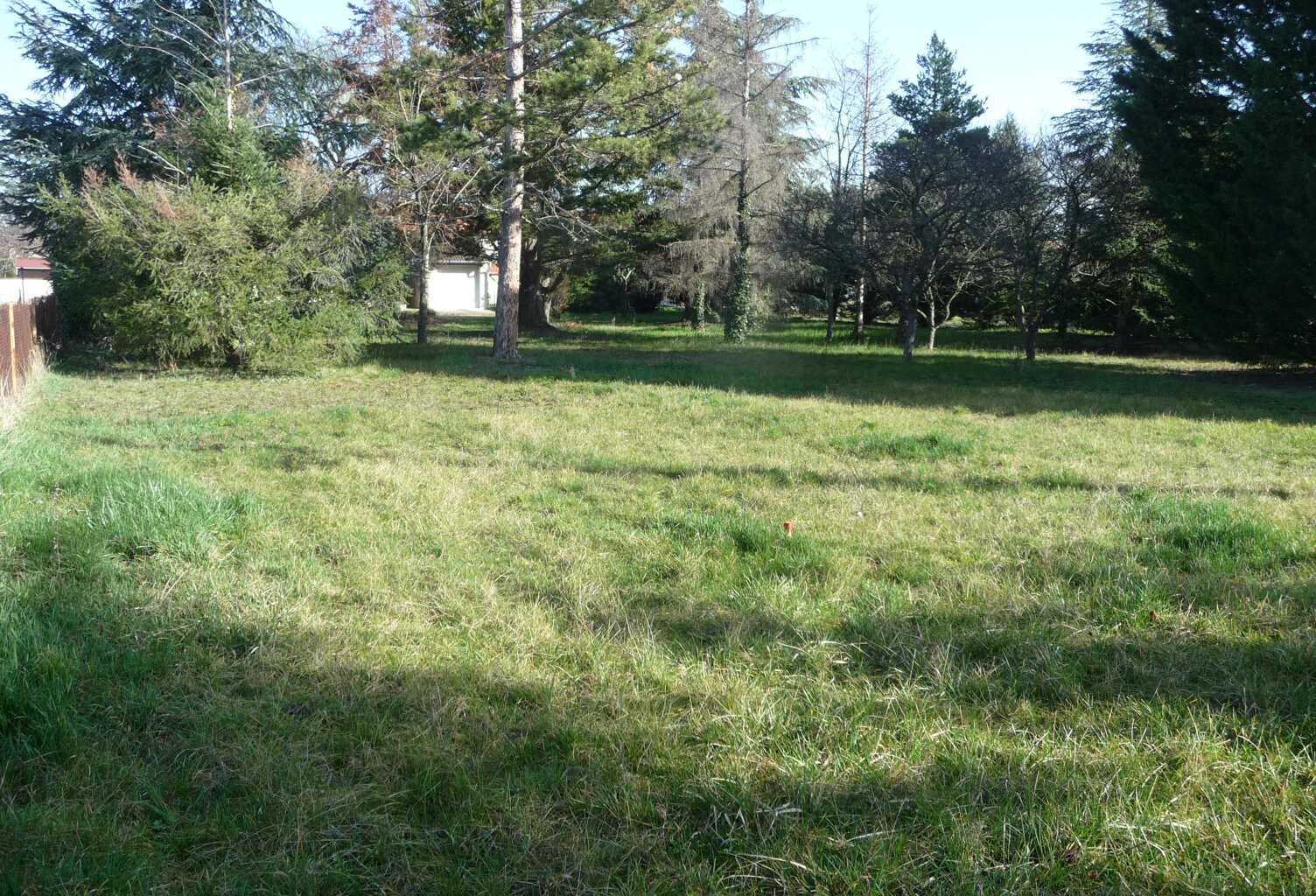 SAVIGNEUX proche centre terrain plat et arboré viabilisé 770 — photo 1