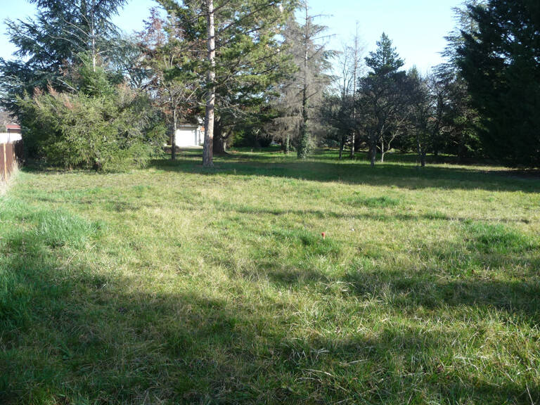 SAVIGNEUX proche centre terrain plat et arboré viabilisé 770 — photo 1
