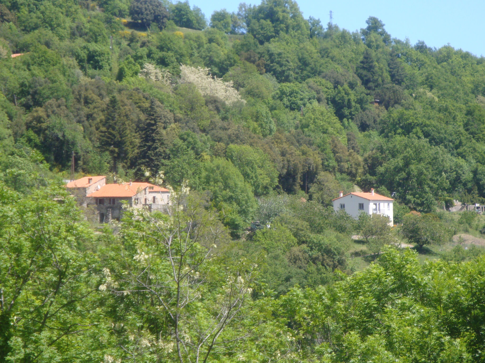 Villa / Maison  T14 à vendre Montferrer 66150