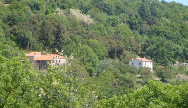 Villa / Maison 14 pièces  à vendre Montferrer 66150