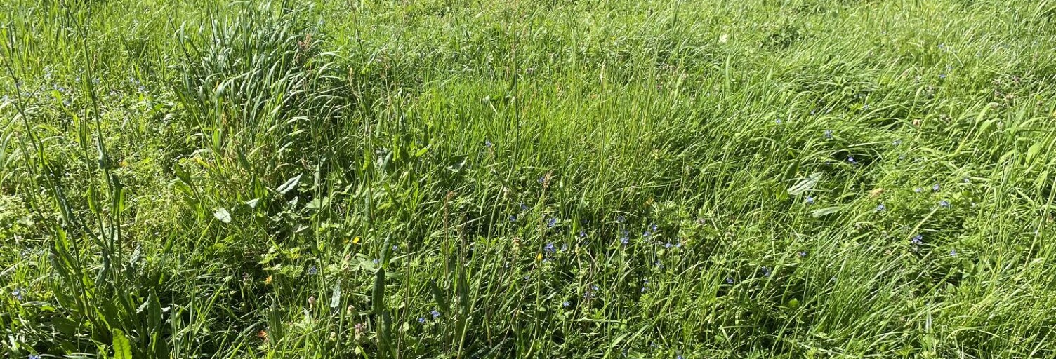 Terrain  1400 m² à vendre à Belmont-Tramonet (73330)