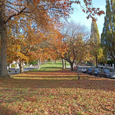 Maison 3 pièces 179000 €