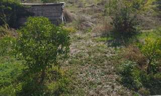 Terrain  1500 m² à vendre à Bastelicaccia (20129)