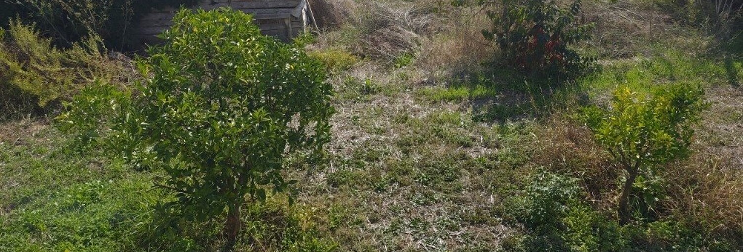 Terrain  1500 m² à vendre à Bastelicaccia (20129)