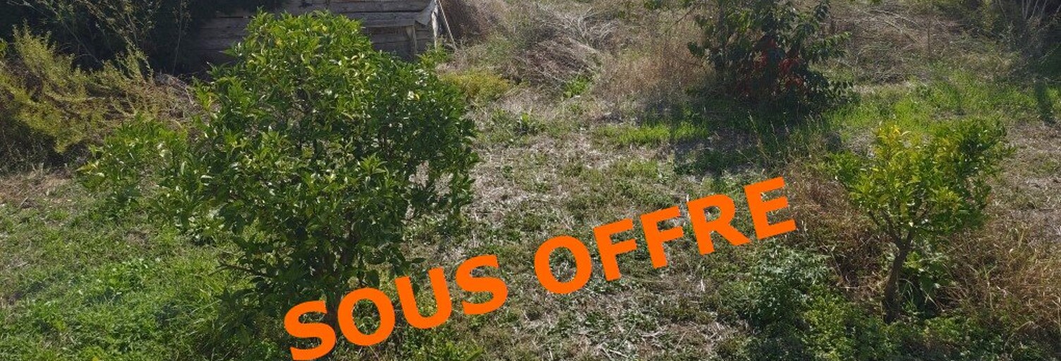 Terrain  1500 m² à vendre à Bastelicaccia (20129)