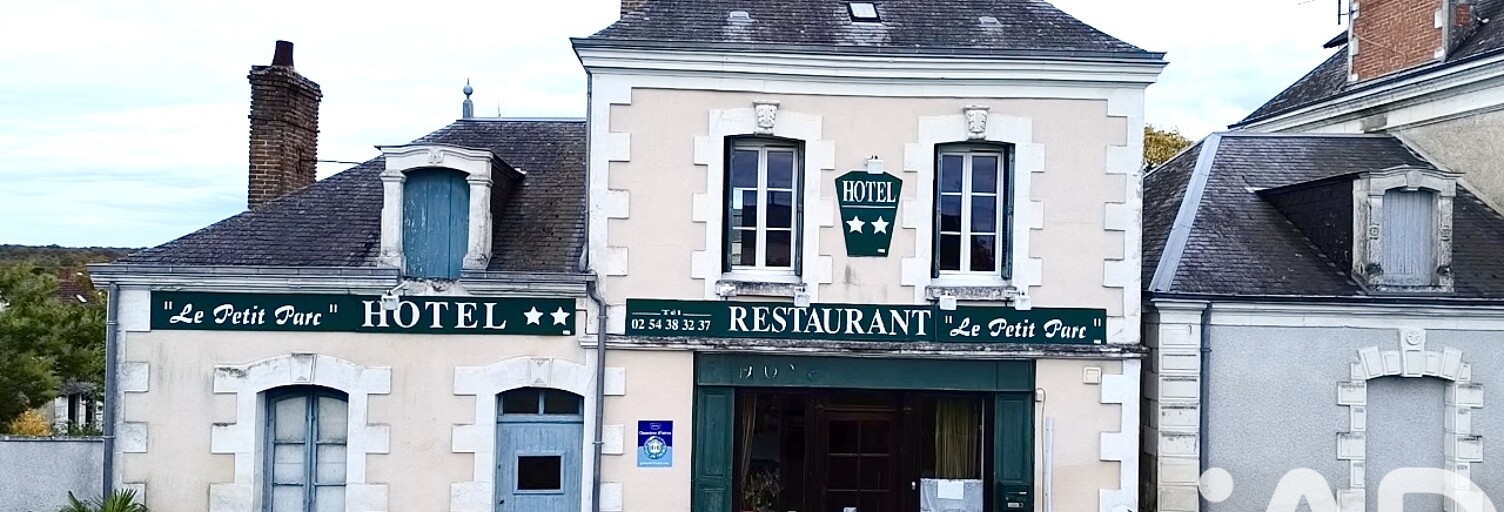 Maison 16 Pièces 403 m² à vendre à Vendœuvres (36500)