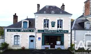 Maison 16 Pièces 403 m² à vendre à Vendœuvres (36500)