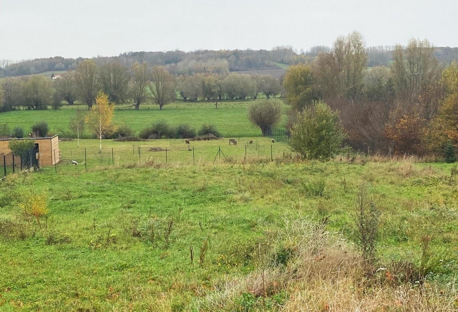 Magnifique terrain constructible de 1375 m 2 à Mametz — photo 1