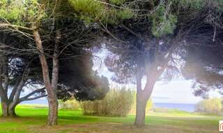 Appartement 2 Pièces 34 m² à vendre à Poggio-Mezzana (20230)