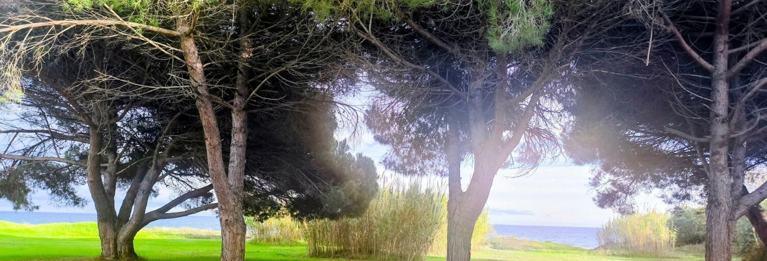 Appartement 2 Pièces 34 m² à vendre à Poggio-Mezzana (20230)