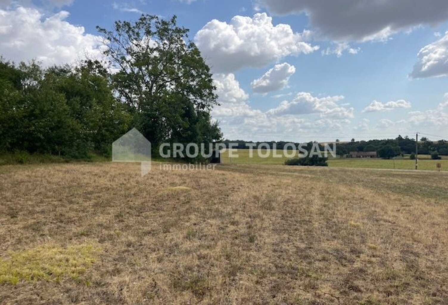 Terrain — photo 1