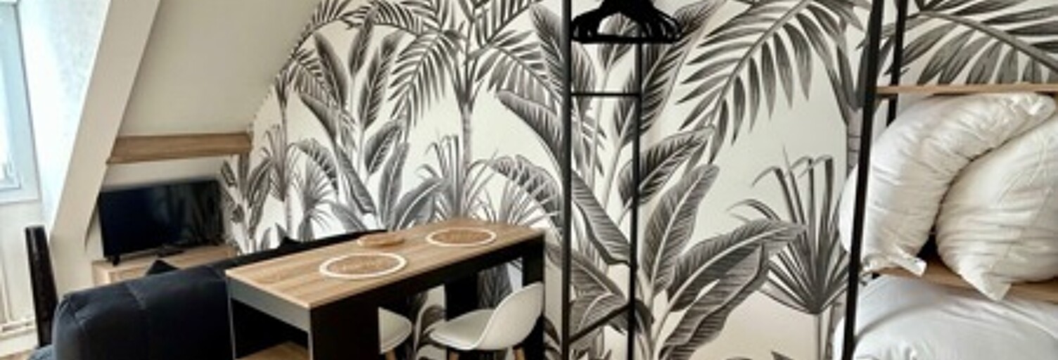 Appartement 1 Pièce 15 m² à vendre à Amboise (37400)