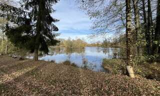 Terrain  17526 m² à vendre à La Buxerette (36140)