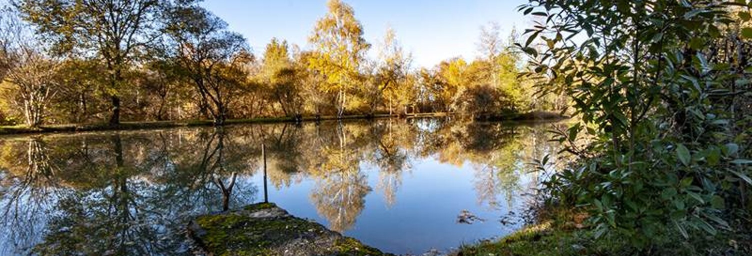 Maison 4 Pièces 139 m² à vendre à Chalais (24800)