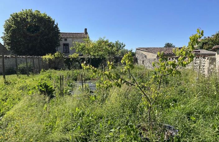 Grange de 1 pièces principales — photo 3