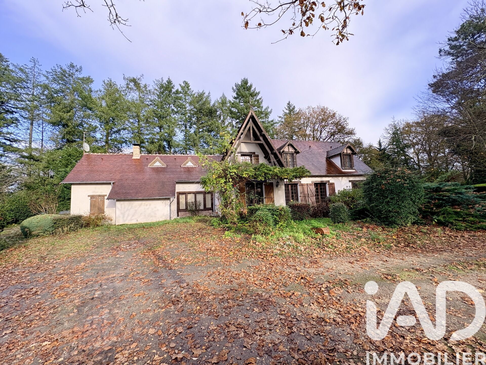 Salbris - 183m² - 6p. - 4ch.