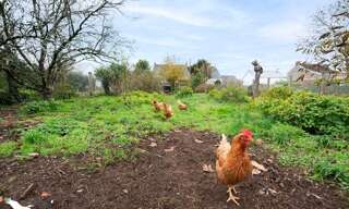 Maison 5 Pièces 109 m² à vendre à Couëron (44220)