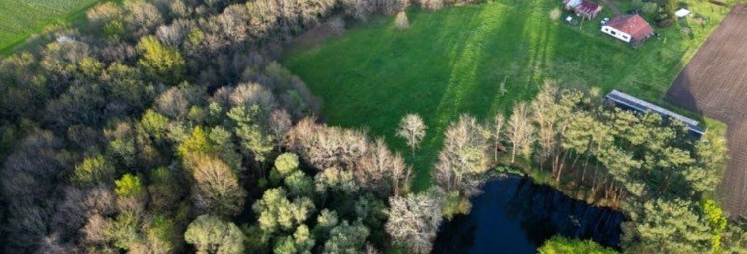 Maison 9 Pièces 167 m² à vendre à Beylongue (40370)