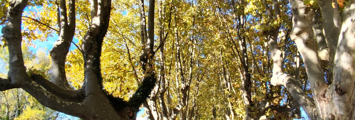 Maison 5 Pièces 86 m² à vendre à Gajan (30730)