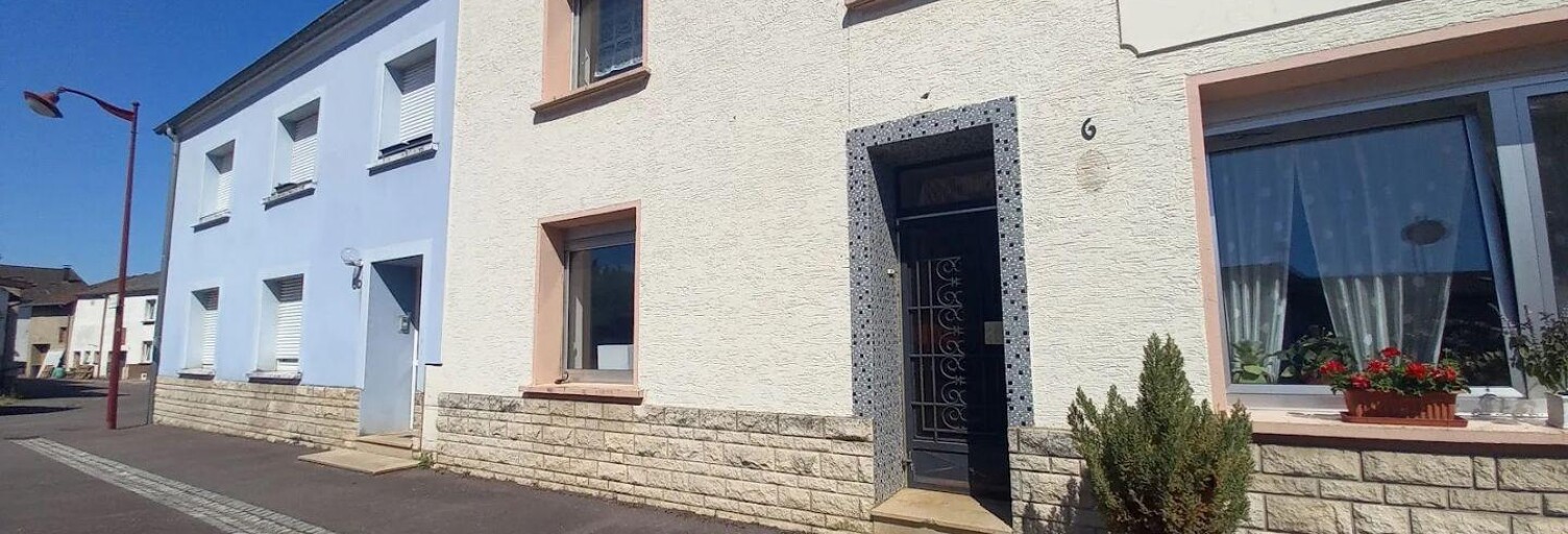 Maison 7 Pièces 224 m² à vendre à Villing (57550)