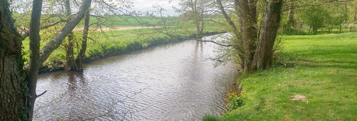 Maison 7 Pièces 163 m² à vendre à Manou (28240)