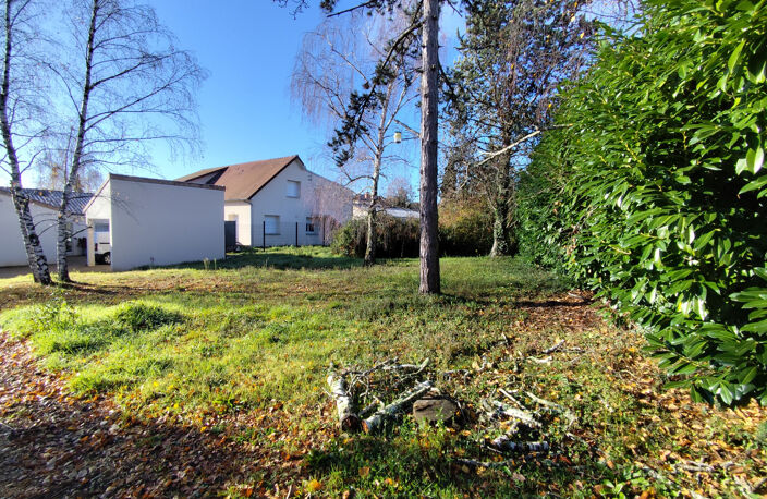 TERRAIN A BATIR - SAINT BENOIT — photo 3