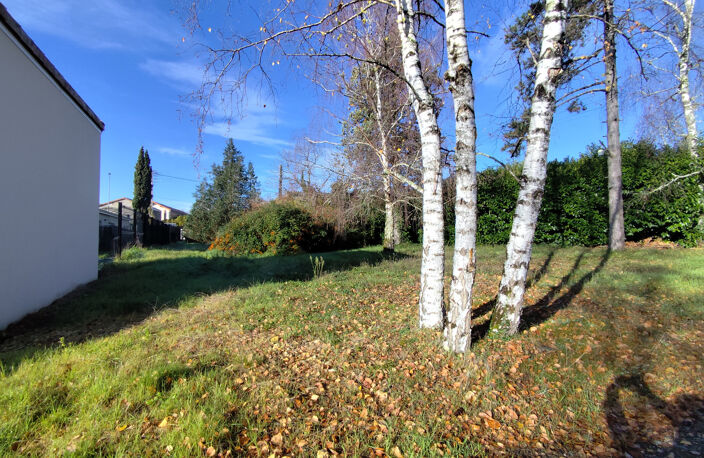 TERRAIN A BATIR - SAINT BENOIT — photo 4