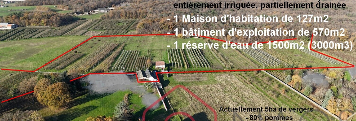 Maison 5 Pièces 110 m² à vendre à Semoy (45400)