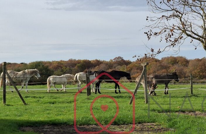 Authentique corps de ferme rénové - gîtes — photo 5