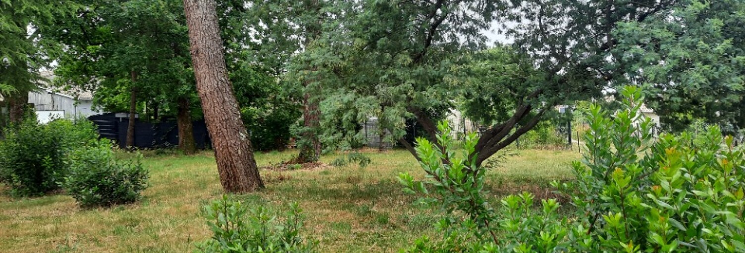 Terrain  600 m² à vendre à Sanguinet (40460)