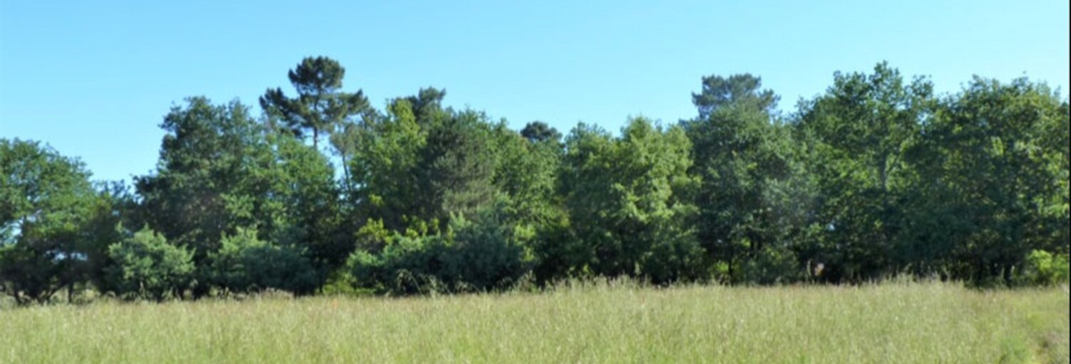 Terrain  727 m² à vendre à Landiras (33720)