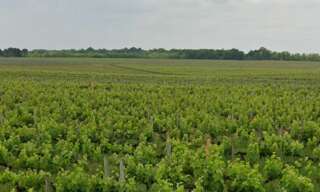 Terrain  649 m² à vendre à Portets (33640)