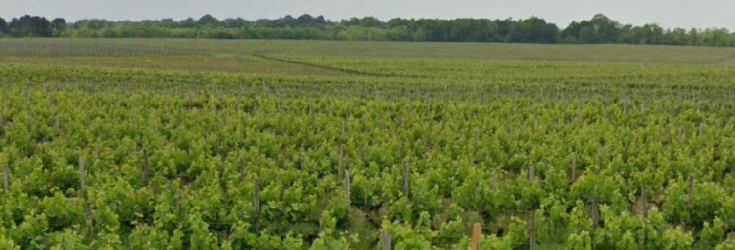 Terrain  649 m² à vendre à Portets (33640)