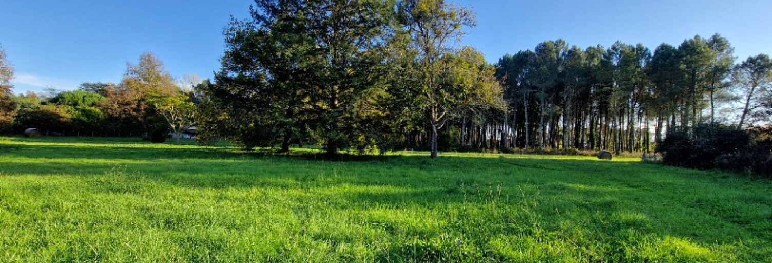 Terrain  1599 m² à vendre à Uzeste (33730)