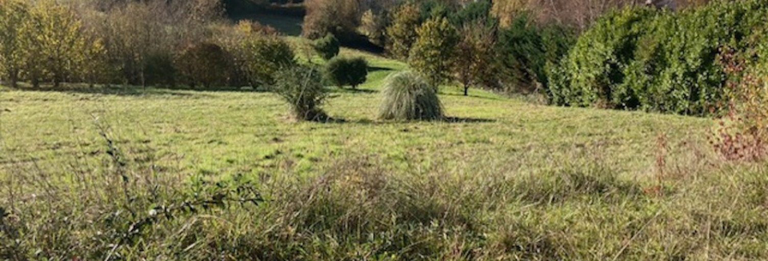 Terrain  603 m² à vendre à Bussac-sur-Charente (17100)