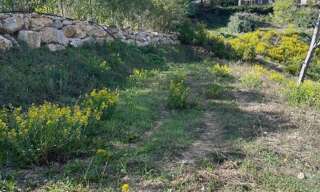 Maison  388 m² à vendre à Mandelieu-la-Napoule (06210)