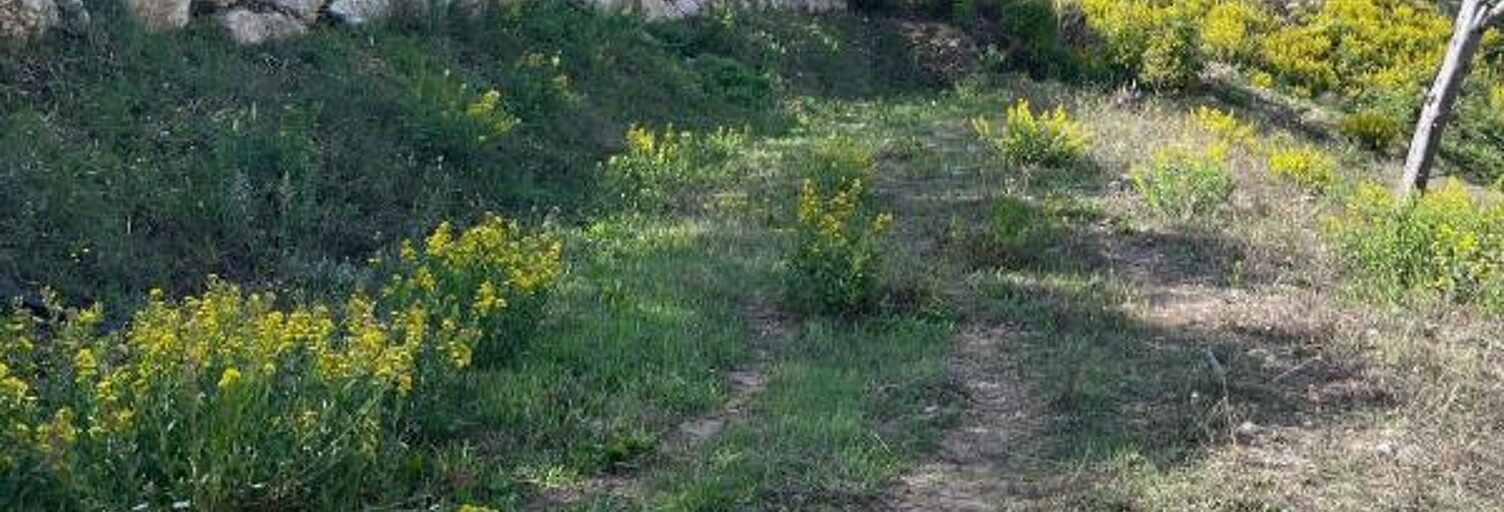 Maison  388 m² à vendre à Mandelieu-la-Napoule (06210)