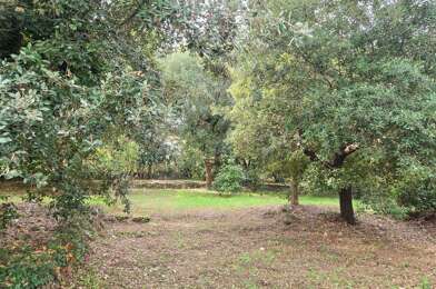 Terrain  1290000 €