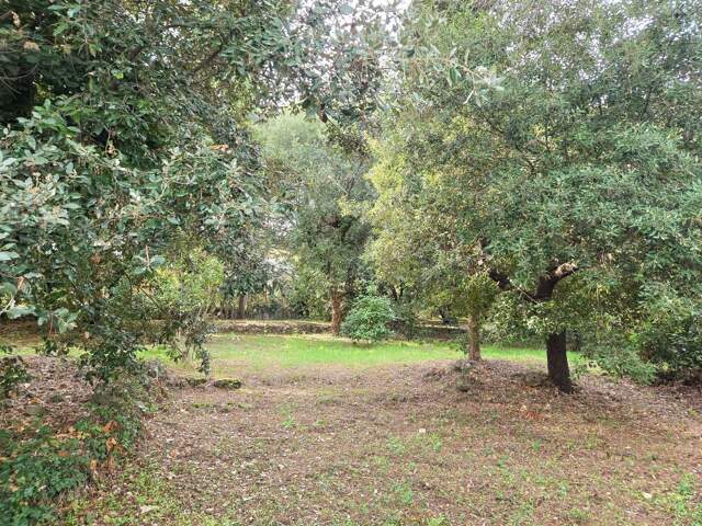 Terrain À Vendre — photo du bien