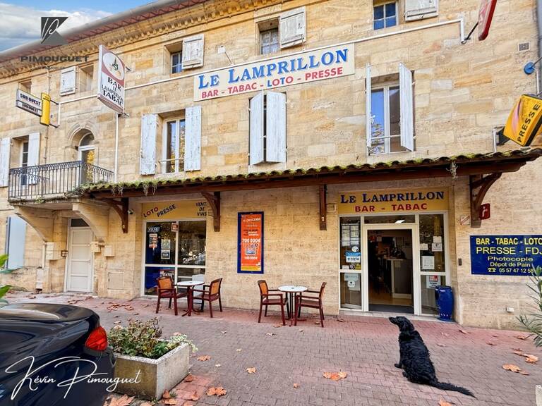 Fonds de commerce à vendre SAINTE TERRE (33) — photo 1