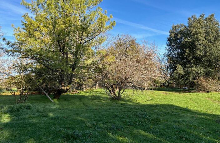 Maison de ville ancienne 290 m² avec dépendances et grand terrain — photo 3