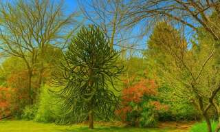 Terrain 790 m² à construire La Teste-de-Buch (33260)