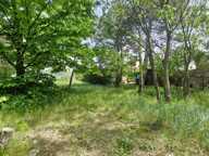 Maison À Vendre, 5 pièces (4 chambres), 174 m², Terrain arboré 1167 m², appartement indépendant — photo 4
